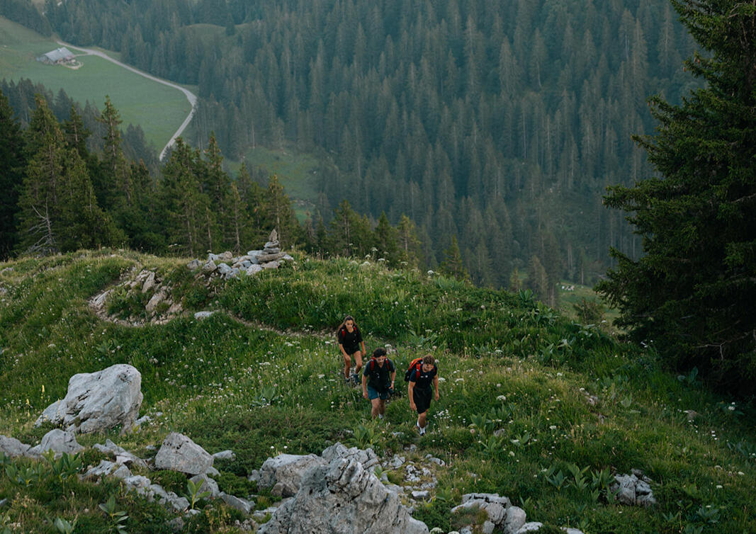 Hiking